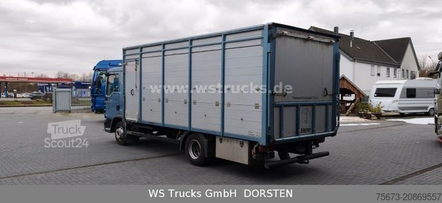 Camion pour bétail MAN TGL 10.210 1 Stock Viehtransporter