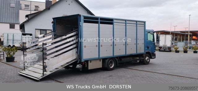 Tovorni avtomobil za prevoz živine MAN TGL 10.210 1 Stock Viehtransporter