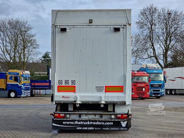 Transport de bétail Samro 3 axle - 2 deck livestock - Lifting roof - Regn...