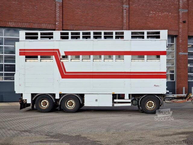 Transport de bétail Samro 3 axle - 2 deck livestock - Lifting roof - Regn...