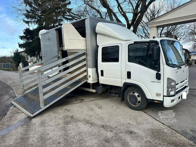 Veetransporter Isuzu N62.150 2 Pferde, 7 eingetragene Sitzplätze