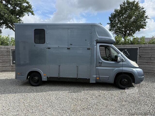 At taşımacılığı Citroën Jumper | HORSETRUCK | MVV | COMPETITION 3XL | 2...