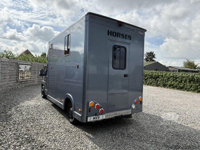 At taşımacılığı Citroën Jumper | HORSETRUCK | MVV | COMPETITION 3XL | 2...