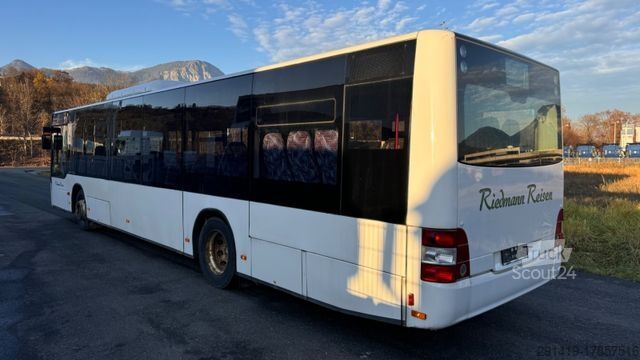 Autobús urbano MAN A20 Omnibus Euro 3 45 Sitzplätze Bj 2005