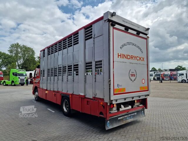 Veetransport Volvo FM 250 4x- Livestock 2 deck - Lifting floors - ...