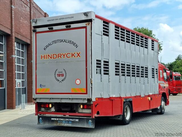 Veetransport Volvo FM 250 4x- Livestock 2 deck - Lifting floors - ...