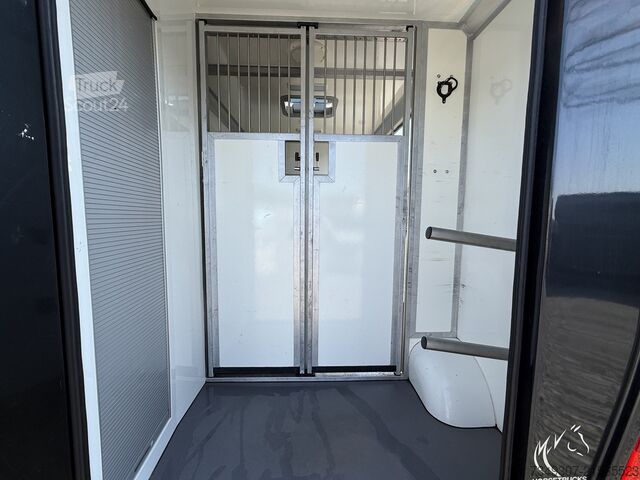 Horse transportation Renault Master PAARDENWAGEN | HORSETRUCK | STX | STALLI...