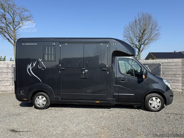 Horse transportation Renault Master PAARDENWAGEN | HORSETRUCK | STX | STALLI...