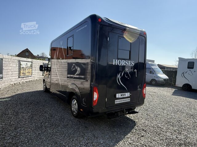 Horse transportation Renault Master PAARDENWAGEN | HORSETRUCK | STX | STALLI...