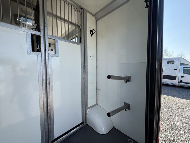 Horse transportation Renault Master PAARDENWAGEN | HORSETRUCK | STX | STALLI...