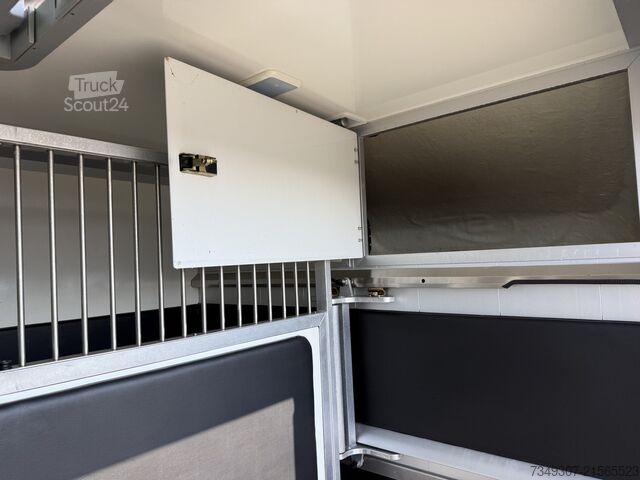 Horse transportation Renault Master PAARDENWAGEN | HORSETRUCK | STX | STALLI...