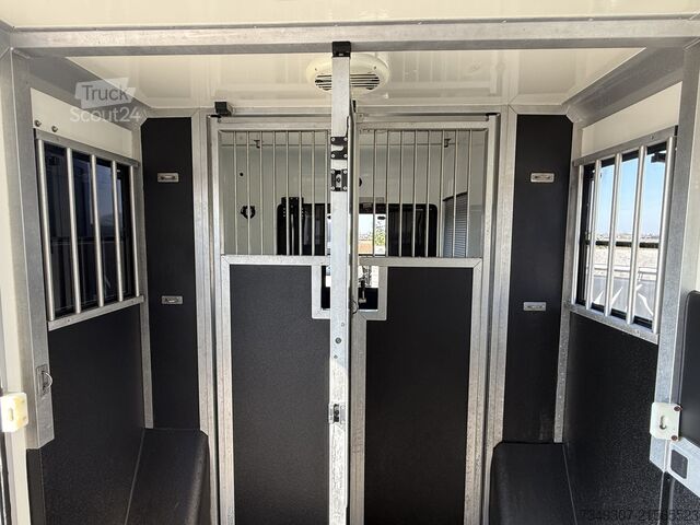 Horse transportation Renault Master PAARDENWAGEN | HORSETRUCK | STX | STALLI...