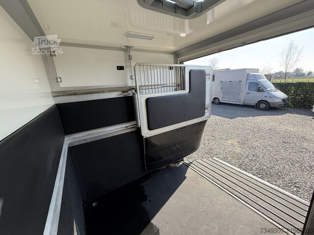 Horse transportation Renault Master PAARDENWAGEN | HORSETRUCK | STX | STALLI...