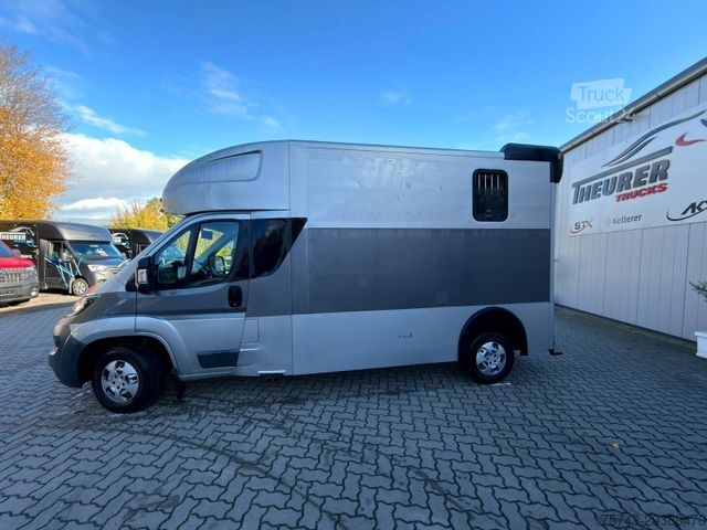 Μεταφορέας ζώων PEUGEOT Boxer MSG