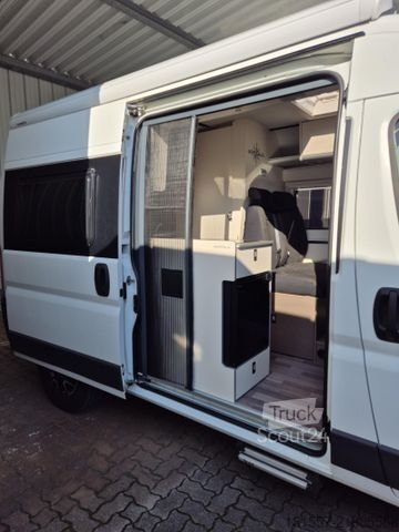 Autocamper WESTFALIA Amundsen 540 D Fiat