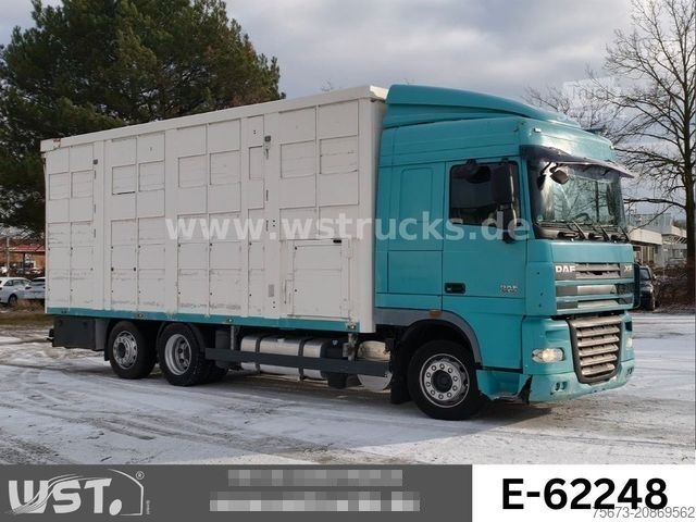 Tovorni avtomobil za prevoz živine DAF XF 105/460T KABA 3 Stock Vollalu