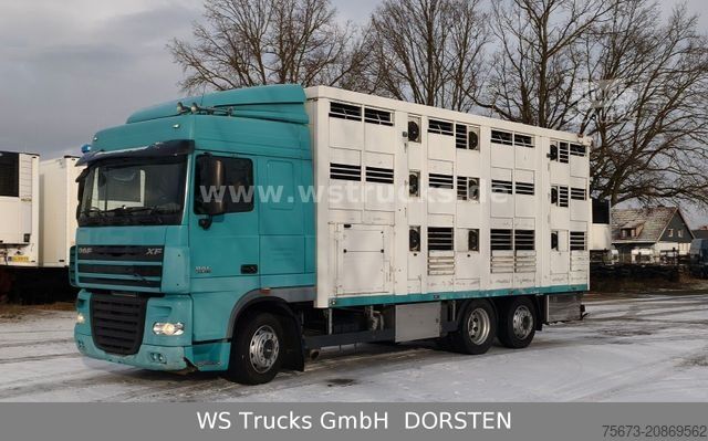 Tovorni avtomobil za prevoz živine DAF XF 105/460T KABA 3 Stock Vollalu