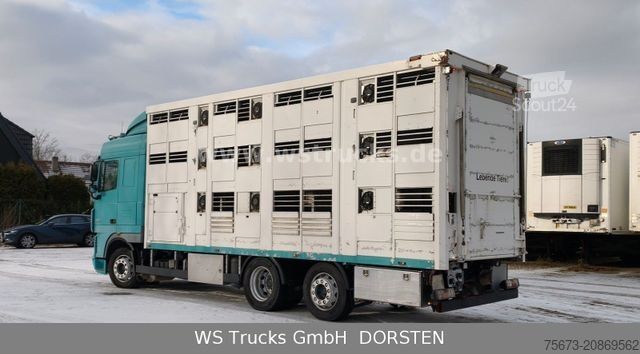 Tovorni avtomobil za prevoz živine DAF XF 105/460T KABA 3 Stock Vollalu