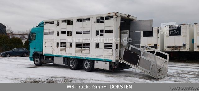 Tovorni avtomobil za prevoz živine DAF XF 105/460T KABA 3 Stock Vollalu