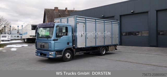 Veetransporter MAN TGL 10.210 1 Stock Viehtransporter