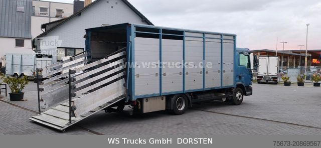 Veetransporter MAN TGL 10.210 1 Stock Viehtransporter