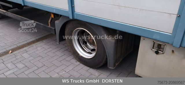 Transporteur de bétail MAN TGL 10.210 1 Stock Viehtransporter