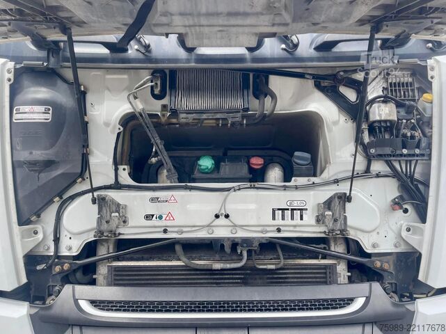 MTS standard DAF XF 460 MANUAL,  ADR, FRIGO