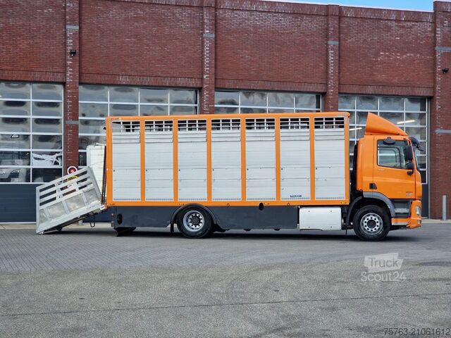 Veetransport DAF CF 400 4x2 - Menke Livestock 1 deck 16.48M2 - E...