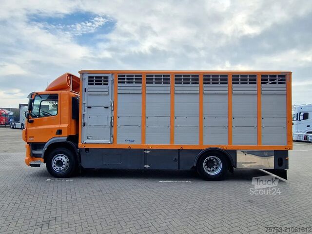 Veetransport DAF CF 400 4x2 - Menke Livestock 1 deck 16.48M2 - E...
