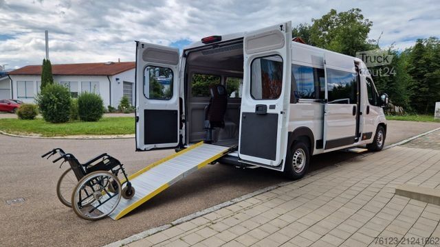 Minibus Opel Movao Fiat Ducato Systemboden Rolli