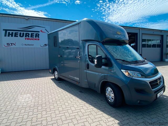 Przyczepa do przewozu bydła FIAT Ducato Böckmann 2 Pferdetransporter