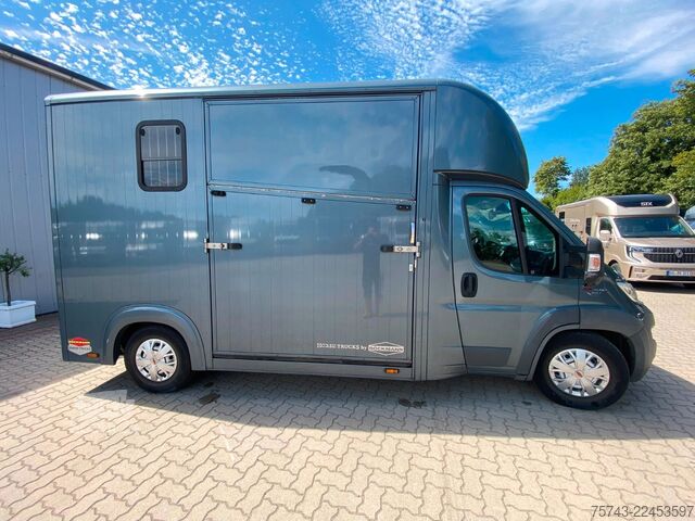 Przyczepa do przewozu bydła FIAT Ducato Böckmann 2 Pferdetransporter