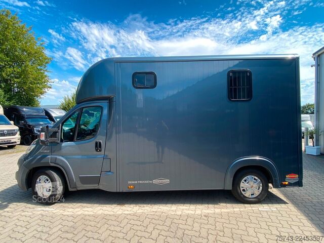 Przyczepa do przewozu bydła FIAT Ducato Böckmann 2 Pferdetransporter