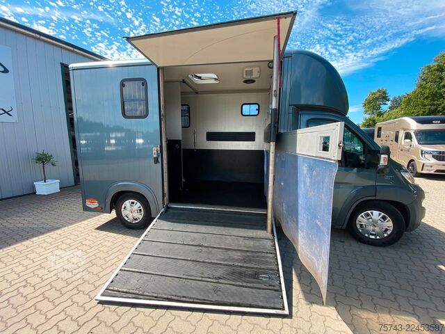 Állatszállító jármű FIAT Ducato Böckmann 2 Pferdetransporter