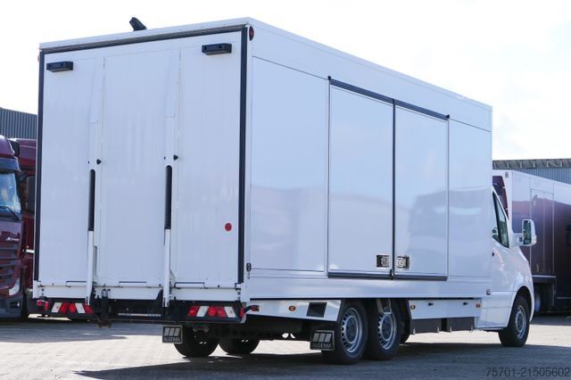 Car carrier van ALGEMA MB Autotransporter Moetefindt Funk Seilwinde