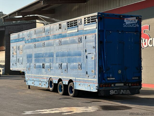 Kvægtransport sættevogn PEZZIOLI SBA31 3.Stock Tiefbett+Hals/Rampe/Hubdach/Rampe