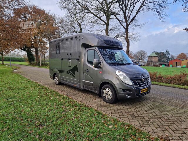 Pferdetransport Renault Master Occasion paardenwagen automaat hengsten ...