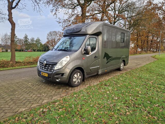 Перевозка лошадей Renault Master Occasion paardenwagen automaat hengsten ...