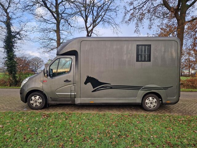 Pferdetransport Renault Master Occasion paardenwagen automaat hengsten ...