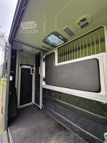 Pferdetransport Renault Master Occasion paardenwagen automaat hengsten ...