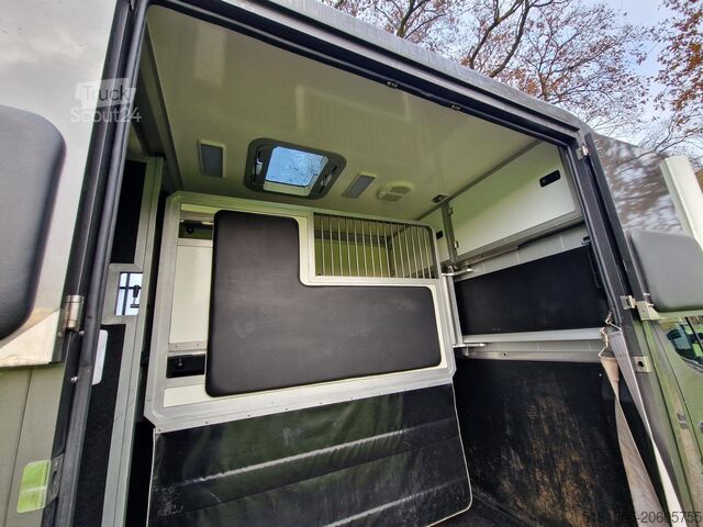 Pferdetransport Renault Master Occasion paardenwagen automaat hengsten ...