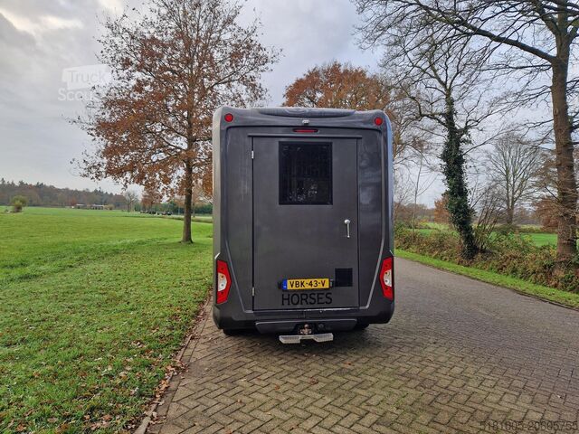 Pferdetransport Renault Master Occasion paardenwagen automaat hengsten ...