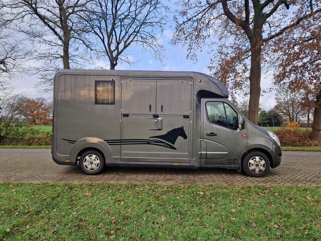 Preprava koní Renault Master Occasion paardenwagen automaat hengsten ...