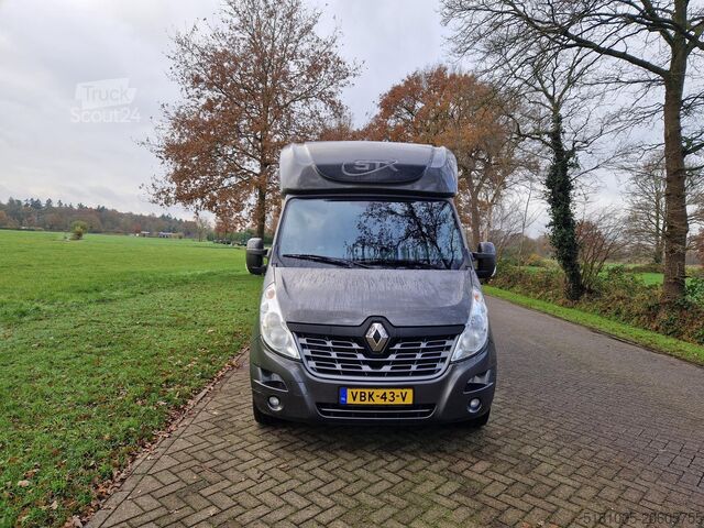 Pferdetransport Renault Master Occasion paardenwagen automaat hengsten ...