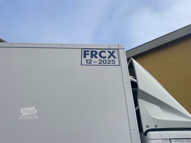 FIAT DUCATO IZOTERMISKS SALDĒTĀJS, 6 EURO PALETI FIAT Ducato Maxi