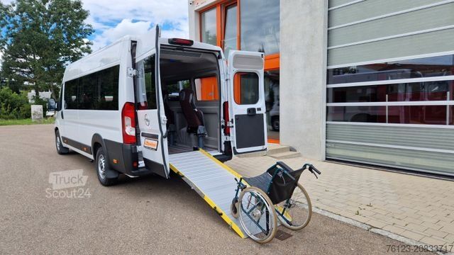 Minibus Opel Movao Fiat Ducato Systemboden Rolli