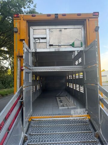 Príves na prepravu koní MENKE-JANZEN 4 Stock Tränke Lüfter durchladen
