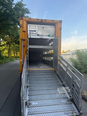 Príves na prepravu koní MENKE-JANZEN 4 Stock Tränke Lüfter durchladen
