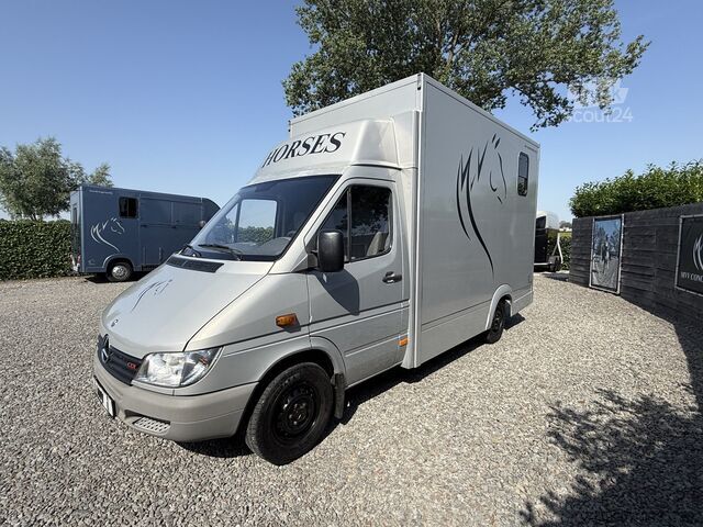 Продава се: Красив сив Mercedes Sprinter транспорт за коне от TVW с автоматична скоростна кутия и... Mercedes-Benz Sprinter | HORSETRUCK | TVW | CLASSIC 3XL | 200...