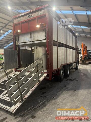 Liellopu pārvadāšana Scania 124G 420 Scania 124G 420 PK - Euro 3 - levendve...